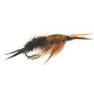 telkwa stonefly nymph
